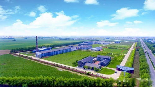 榆樹錢揭牌成立中國北方白酒新技術(shù)與新產(chǎn)品聯(lián)合研發(fā)中心，引領(lǐng)技術(shù)開發(fā)新篇章