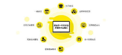 保亭青島鼠標網站公司 專業網站建設與小程序搭建，助力上海企業數字化轉型